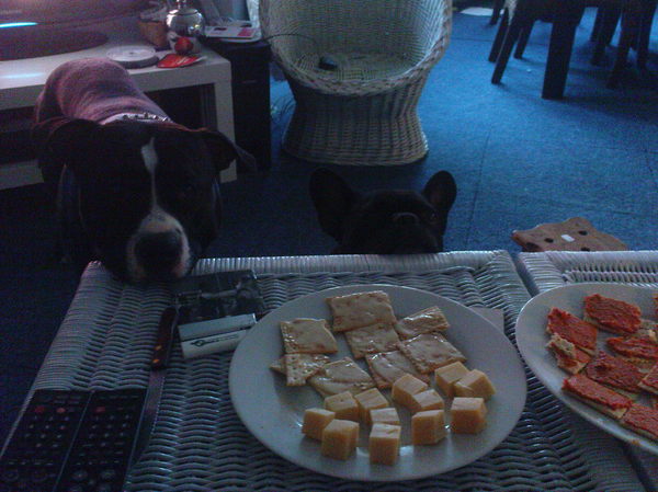 Mmm... toastjes....