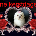 ik wenst iedereen fijne kerstdagen 
groetjes daisy