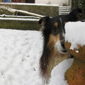 Enzo verstopt zich achter een kruik in de tuin.