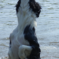 Geen grond onder je voeten in het water en toch zo uit het water kunnen komen, geweldig.