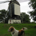 Nog eentje van dezelfde molen in rosmalen