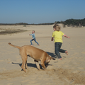 Heerlijk vinden de kleine baasjes om met lola in het zand te ravotten