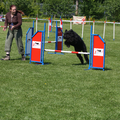 Wat hadden we een lol vooral de hond die had de dag van haar leven,ze nam het [arcour wel vier keer wat natuurlijk niet de bedoeling is maar ach zolang ze lol heb heb ik het ook