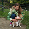 Dochter Dana met Sandy Amerikaanse Collie pup van 12 weken. Veilig in de armen van Dana. Allemaal rare 'wezens' in die kinderboerderij.