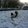 Heerlijk zo met de kerstdagen in de sneeuw spelen!