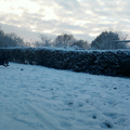 lekker achter de bal aan rennen in de sneeuw