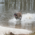 Hier komt amador net het water uit. Maar door de timing van de foto staat hij er niet op zijn voordeligst op zullen we maar zeggen