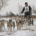 sledehonden trainingskamp Pampa Belgie 