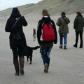 Stranddag met iedereen die vers voert