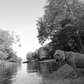 deze foto van Lotje is gemaakt in een schitterend park te Haarlem, waar ook een deel van de videoclip is opgenomen.  