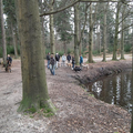 Hondenwandeling Hooge Vuursche, Baarn (Ut)