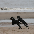 dansen aan zee..