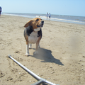 Ik vind dit van alle foto's van die dag de mooiste omdat je hier echt kan zien dat Famke geniet van het strand.