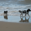 Friso met zijn grote neef Bouke aan het strand van Monster.