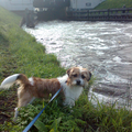 Storm langs de zuid willemsvaart