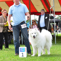 Internationale dogshow Uden