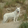 Mijn mooiste plaatje gemaakt op 15 augustus 2012 in Noordwijk