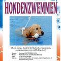 Hondenzwemmen - Zwembad de Biezem (Laren)