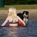 Dikke maatjes samen afkoelen in het water