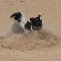 zand in de ogen strooien