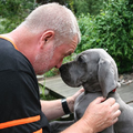 Het is zo'n lief zachtaardig hondje :)
totdat ze het in haar bol krijgt!!