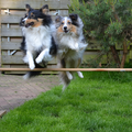 Moeder en dochter doen aan synchroon springen... ;-)