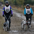 Samen met de roedel op trainingskamp in belgie, alle 3 mijn honden trekken mij en mijn vriend.