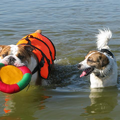 amber en tessa met de frisbee