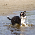 voor het eerst in het water