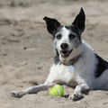 Hier zijn wij op het strand, Billie is 11 of 12 op deze foto en zooo trotz op haar balletje.