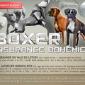 Insurance Bohemica