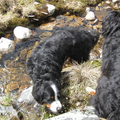 Genieten in het koude bergwater op vakantie in Noorwegen.