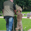 Tja als weimaraner moet je wel laten zien dat je toch meer op het niveau van een tweevoeter leeft dan op die van een viervoeter. Dus wanneer het moment weer daar is dan moeten we naast de baas gaan staan om wel op gelijke hoogte te blijven.