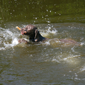 Eerste keer in het water.