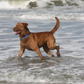 Gezellig een dagje naar het strand.