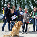 Wandelzoektocht met honden te Oostende