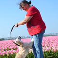 Mijn moeder samen met Elphaba op de Tulpenroute hier niet ver van ons huis