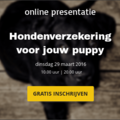 Hondenverzekering voor jouw puppy