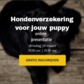 Hondenverzekering voor jouw puppy