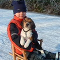 Onze beagle pup Rafke rust even uit op de slee samen met kleine baas Tijn!