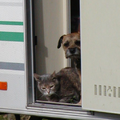 Samen mee met de caravan, leuk!