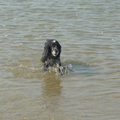 Amber komt in alle jaargetijden graag aan het strand,maar wel met de oogjes dicht, tegen het spetteren!!!