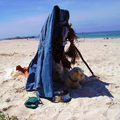 hier op het strand in bretagne, baasje was ONZE parasol vergeten