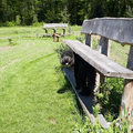 Landgoed zwaluwenburg en de A. Vogeltuinen is ligt in 't Harde.
Het is een mooie plek om met de hond te wandelen.