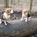 tijdens de herfstwandeling even rusten