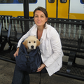 Wij moesten Elvis in Frankrijk ophalen bij een fokker. Hij moest dus mee in de trein, de Thalys. In het reglement van de Thalys staat, als de hond in een tas op schoot past, mag hij gratis mee. Indien niet, moet je 60 EUR betalen. Hij zat in deze tas prima!