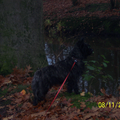 Ruby is lekker in het bos aan het spelen 