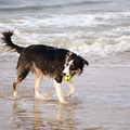 Niks leuker dan met de bal op het strand