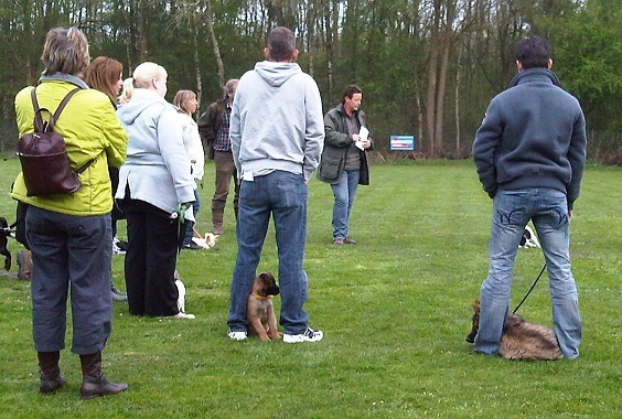 Eerste keer puppy cursus