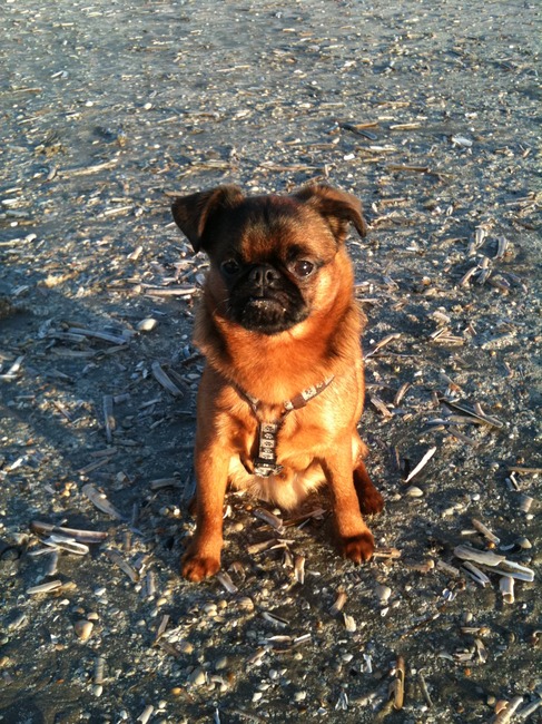 Vroeg zonnetje op het strand.